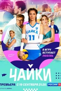 Сериал Чайки — постер